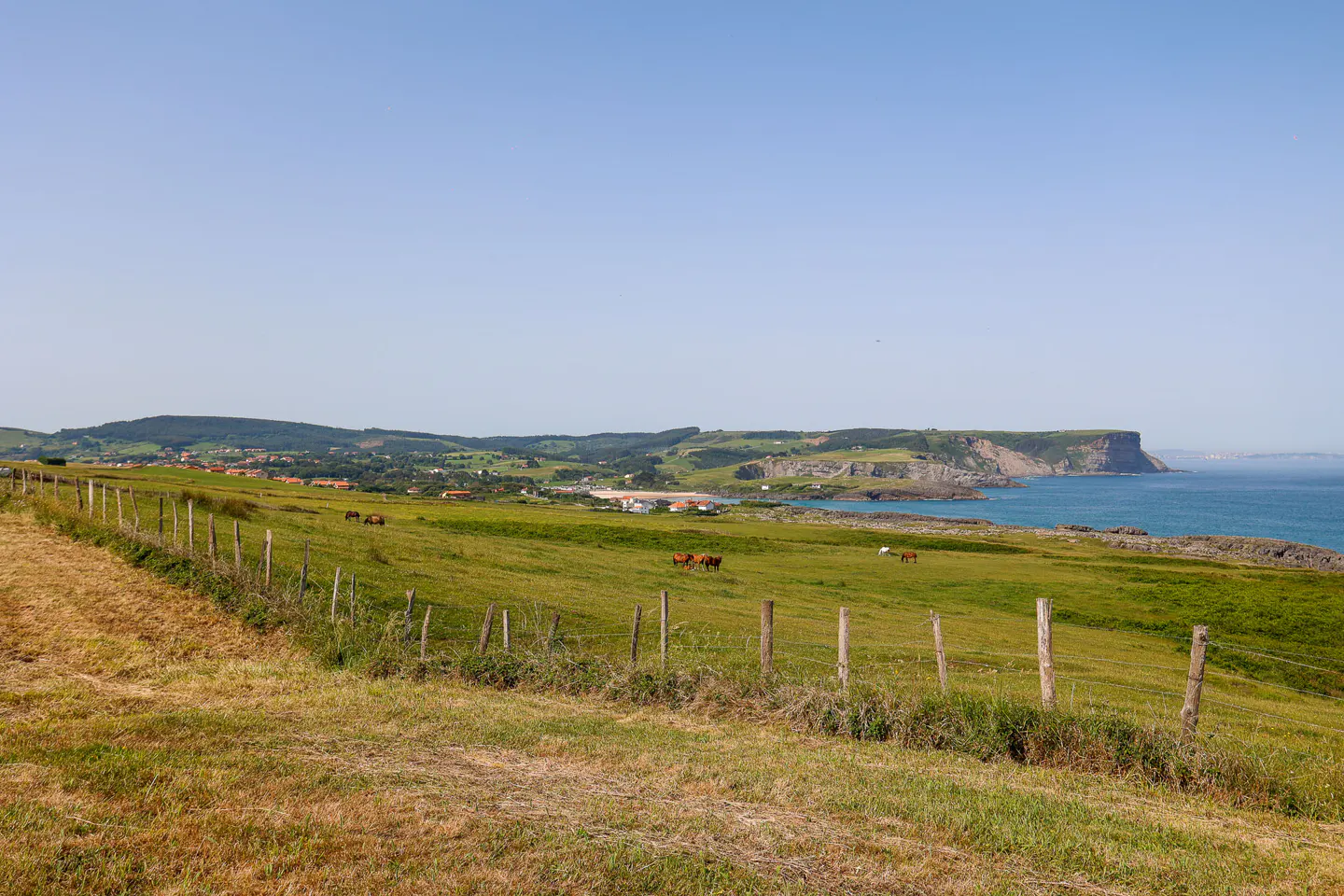 Coastal view of a green field with grazing horses, separated by a wooden fence. Ocean and cliffs in the background under a clear blue sky.