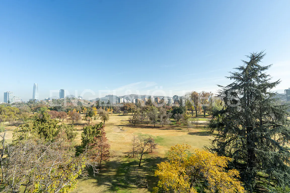 Elevated view of a park with autumn trees and dry grass, with a distant city skyline under a clear blue sky.