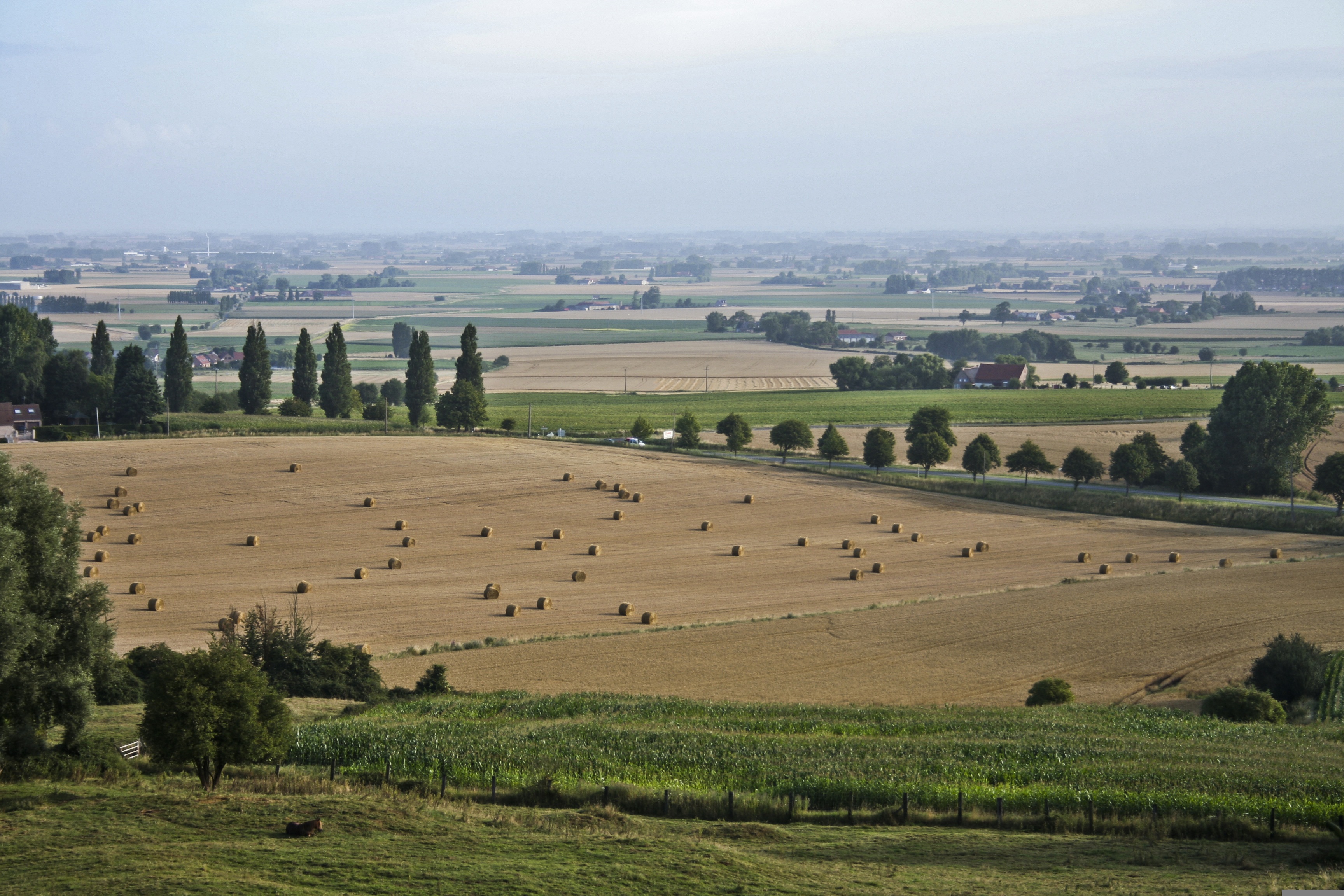 Landwirtschaftliche Flächen in Frankreich