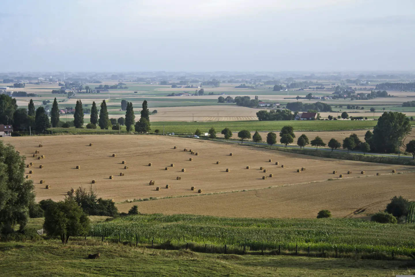 A landscape view of a golden field dotted with hay bales, bordered by green trees and distant buildings under a hazy sky.