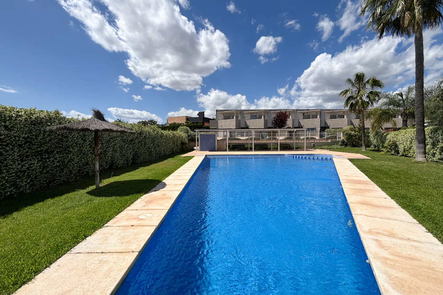 Outdoor pool with blue water, surrounded by green grass, hedges, and palm trees under a blue sky with white clouds.