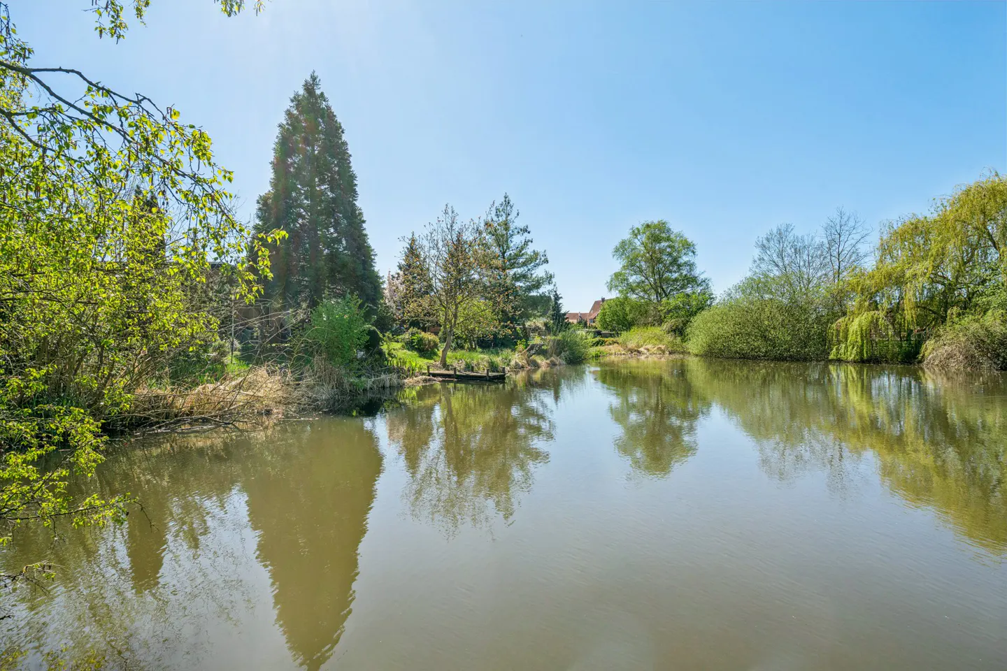 Scenic view of a tranquil pond reflecting trees under a clear blue sky. Lush greenery surrounds the water's edge.