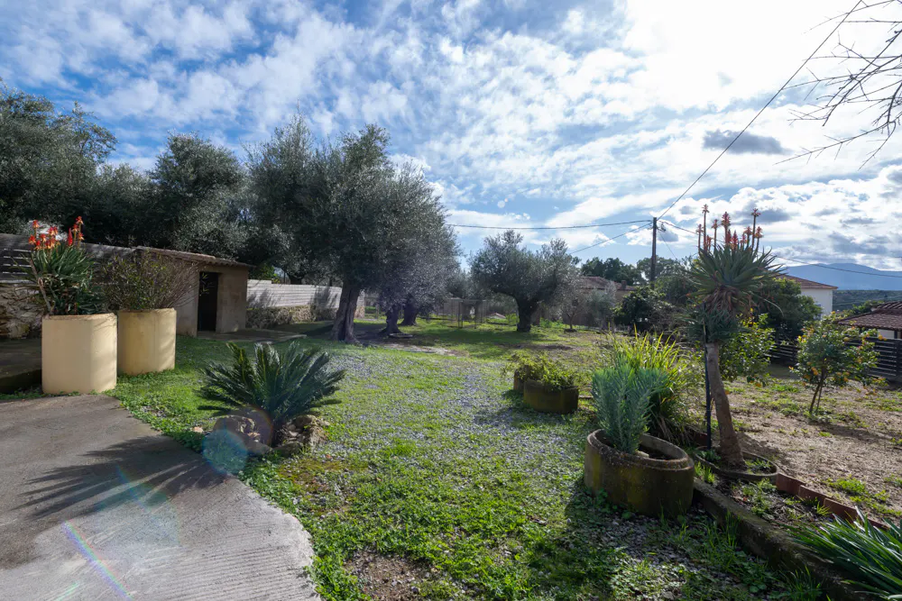 Lush green lawn with olive trees, potted plants, and a small stone building under a cloudy blue sky.