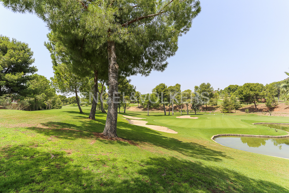 Exclusive plot with approved project and permit for immediate construction start in El Bosque Development.