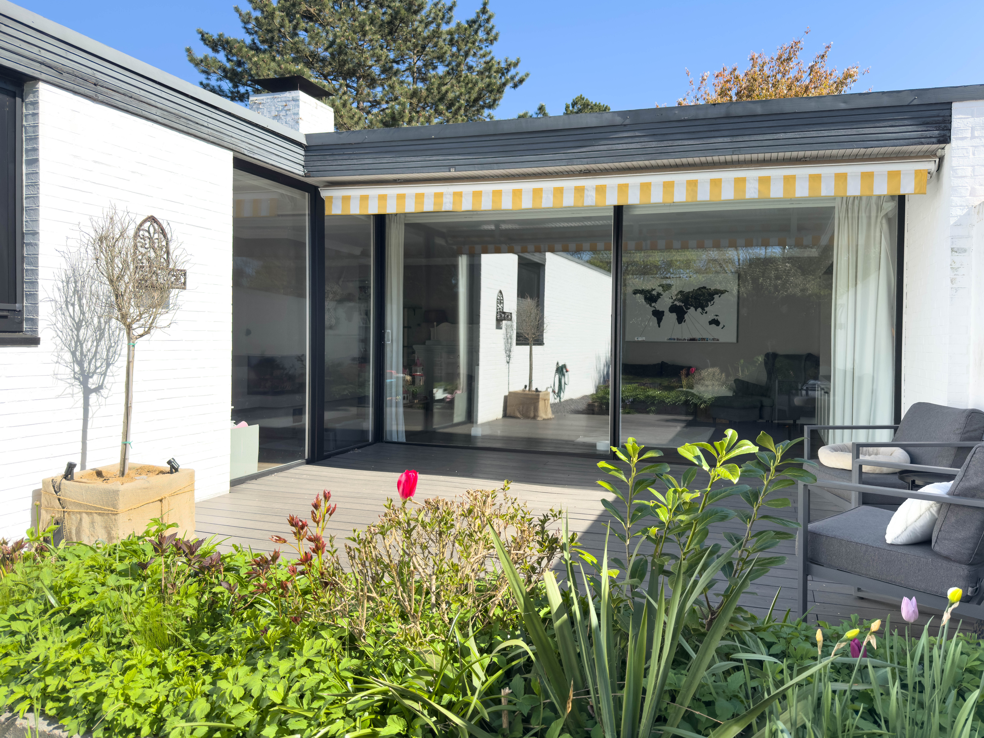 Neutra-Bungalow – Architektur, Licht und Lebensqualität auf einer Ebene