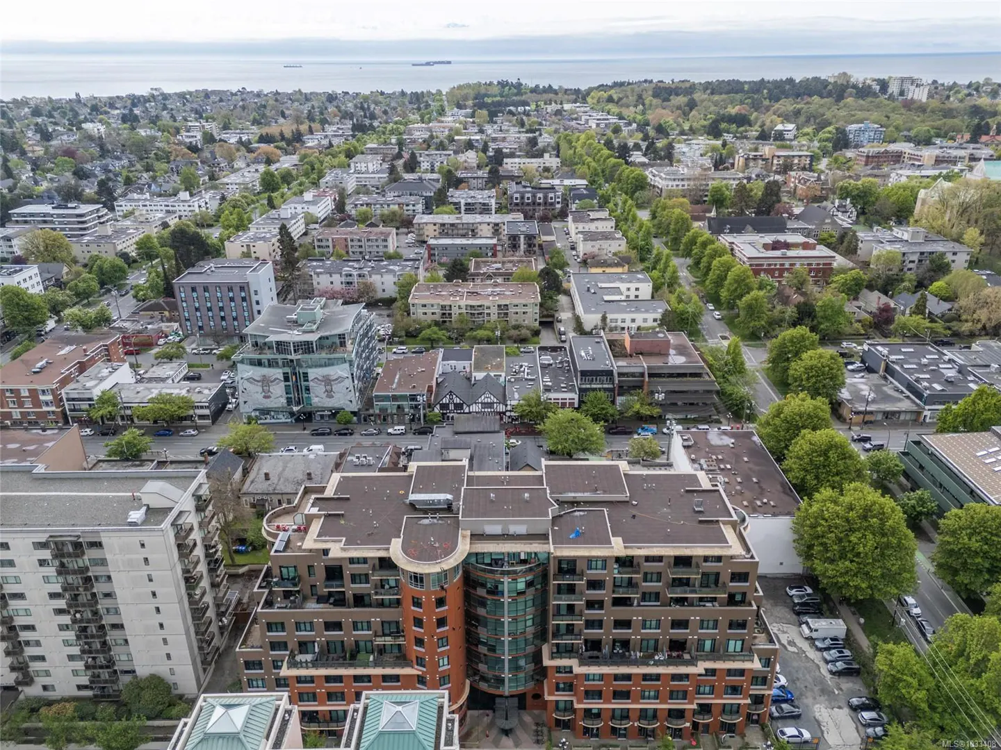 Aerial view of a city neighborhood with apartments, houses, trees, and the ocean in the background.