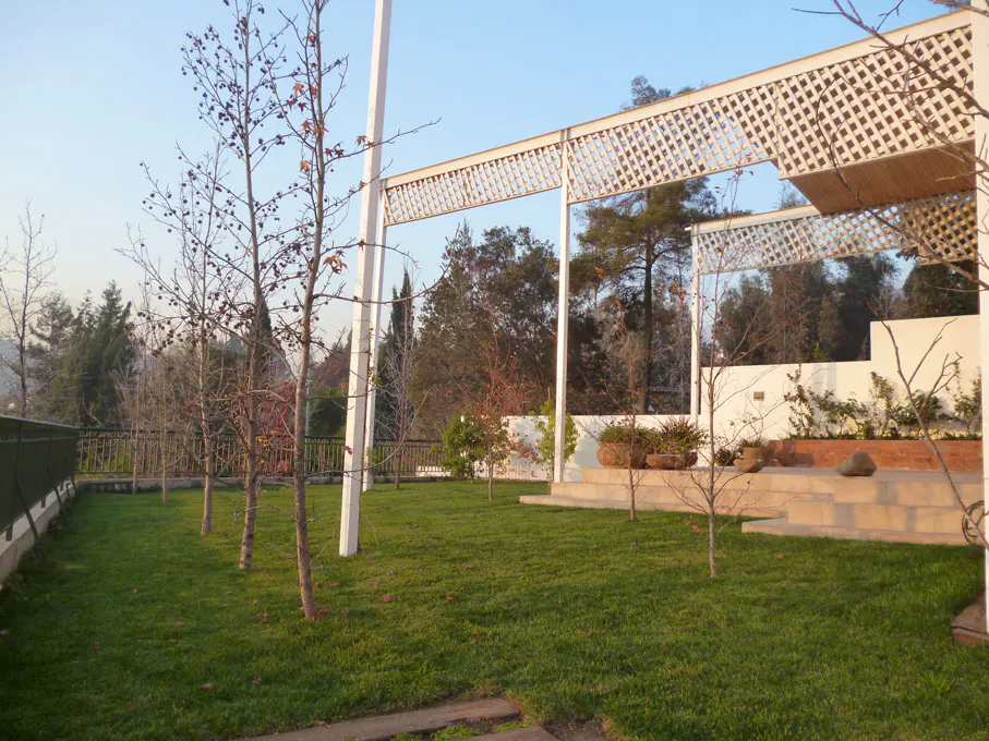 Lawn with trees and a white pergola. The lawn is green and the trees are bare. The pergola is white and has a lattice design.
