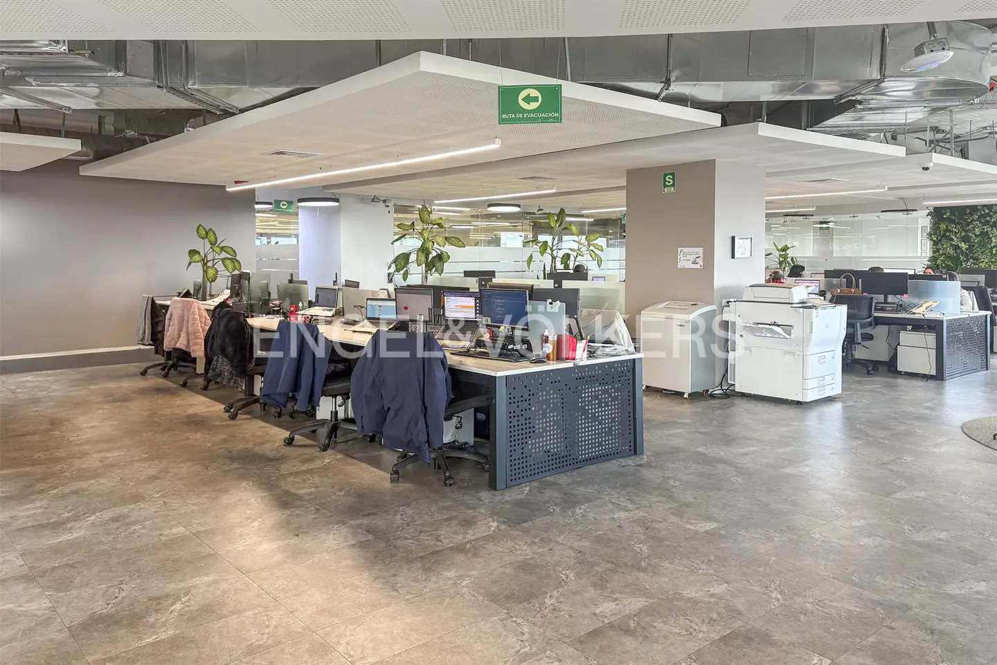 Open office space with desks, computers, chairs, and plants under a white ceiling with an evacuation route sign.