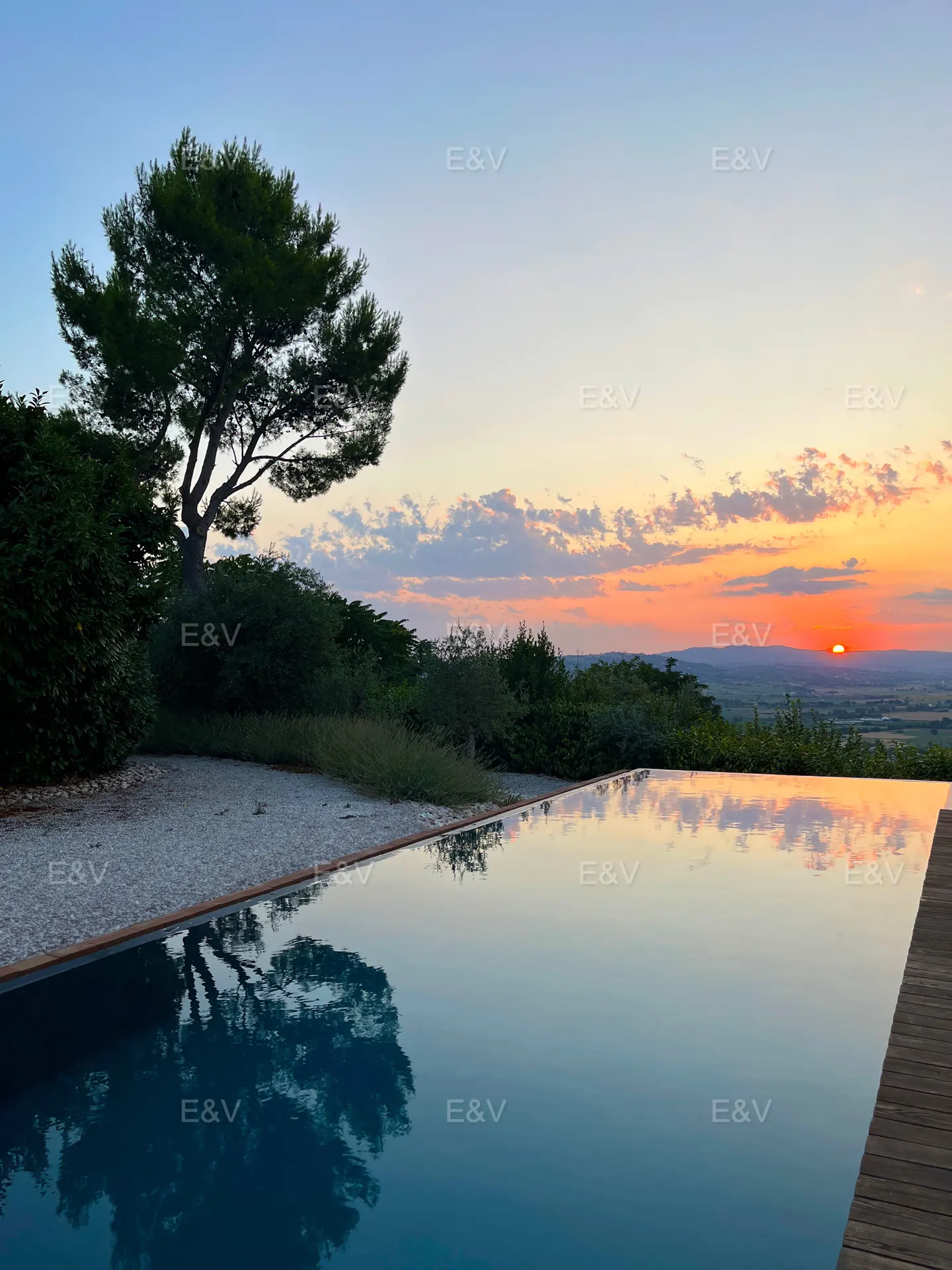 Sunset view from infinity pool, reflecting the sky. A tree stands to the left, with green hills and a distant horizon.