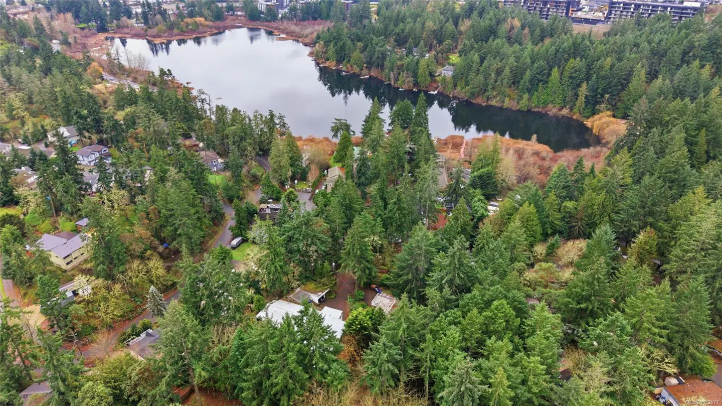 Aerial view of a lake surrounded by dense green trees and houses, with a building visible in the background.