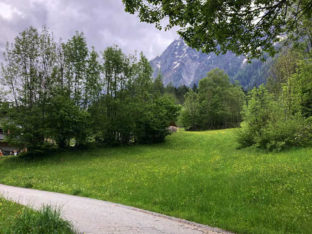 Building Plot in the Bregaglia Valley