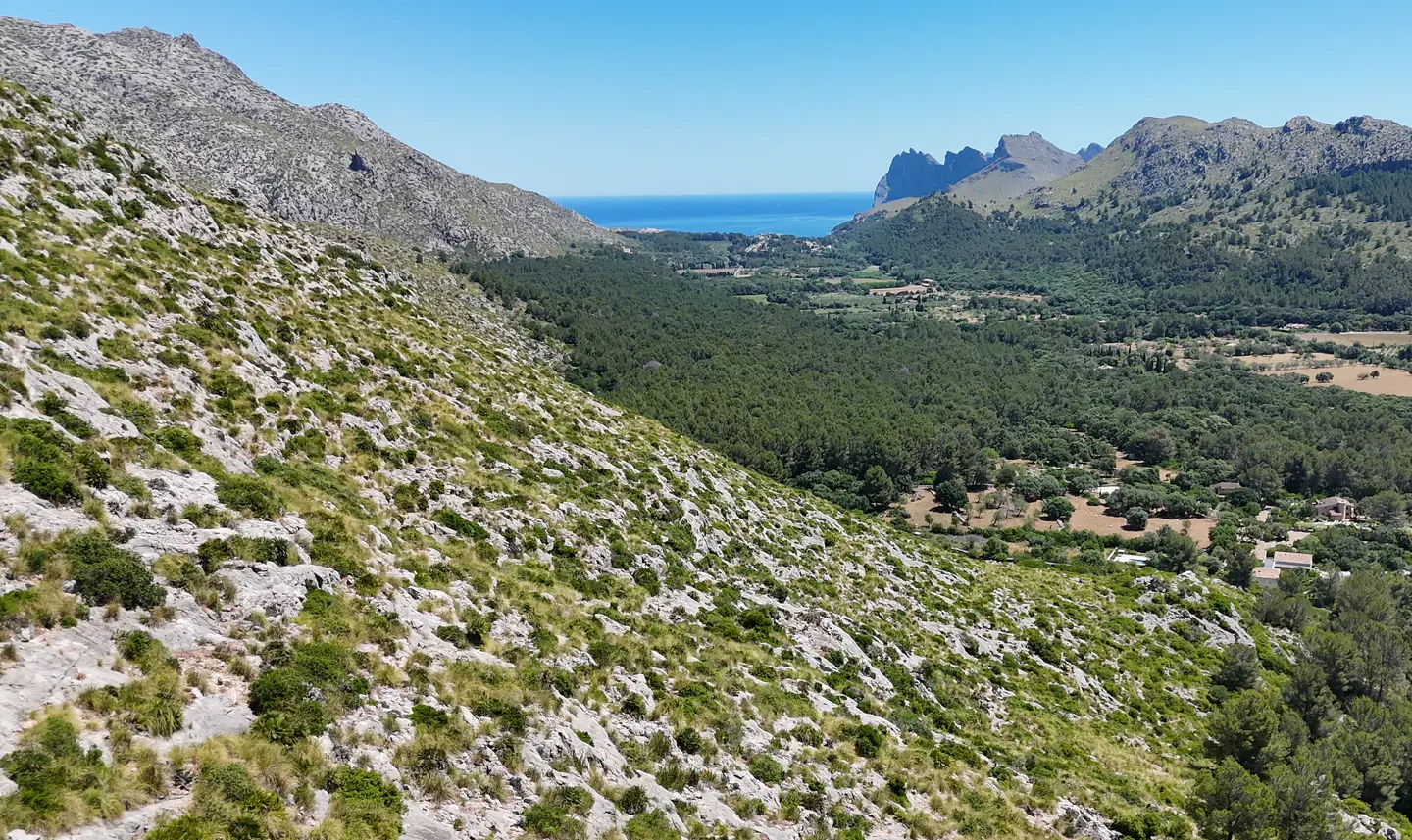 Scenic view of a green valley between rocky mountains, leading to the blue sea under a clear sky.
