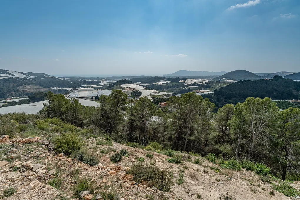 Landscape view of greenhouses in a valley, seen from a rocky hillside with trees under a blue sky.