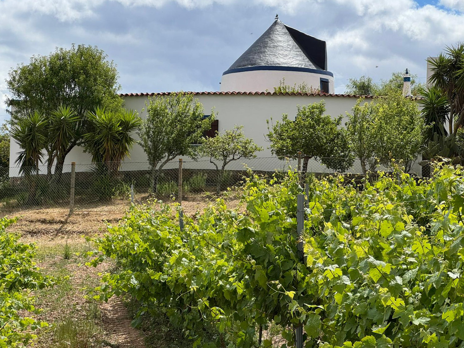 Alentejo Windmill House