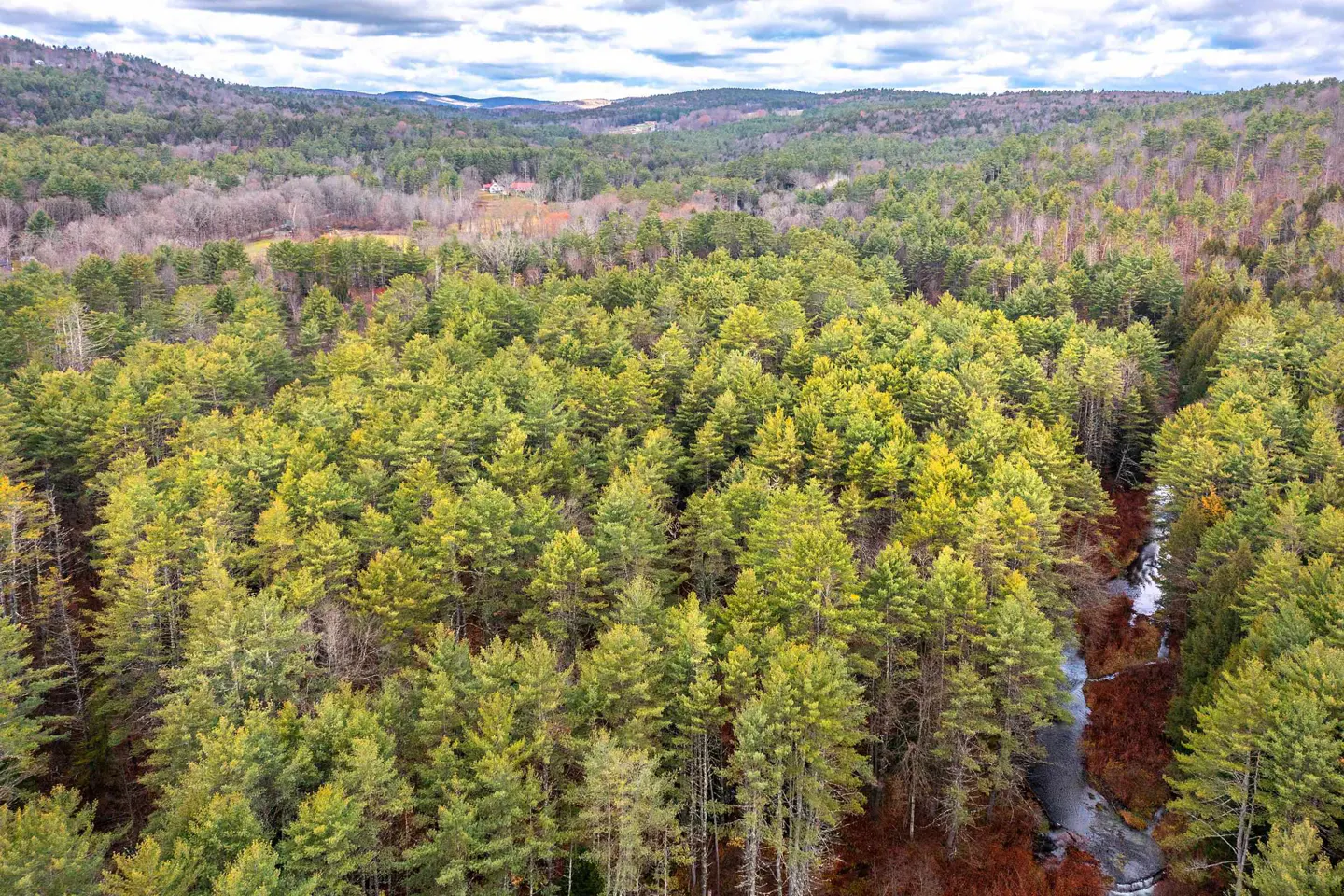 Aerial view of a dense green forest with a stream running through it. Hills and cloudy sky in the background.