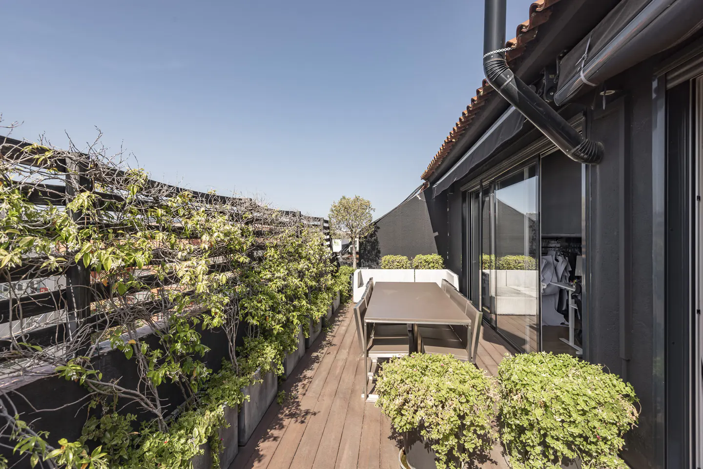 A rooftop patio with a wooden deck, a table and chairs, and planters with greenery. A black fence with climbing plants lines one side.