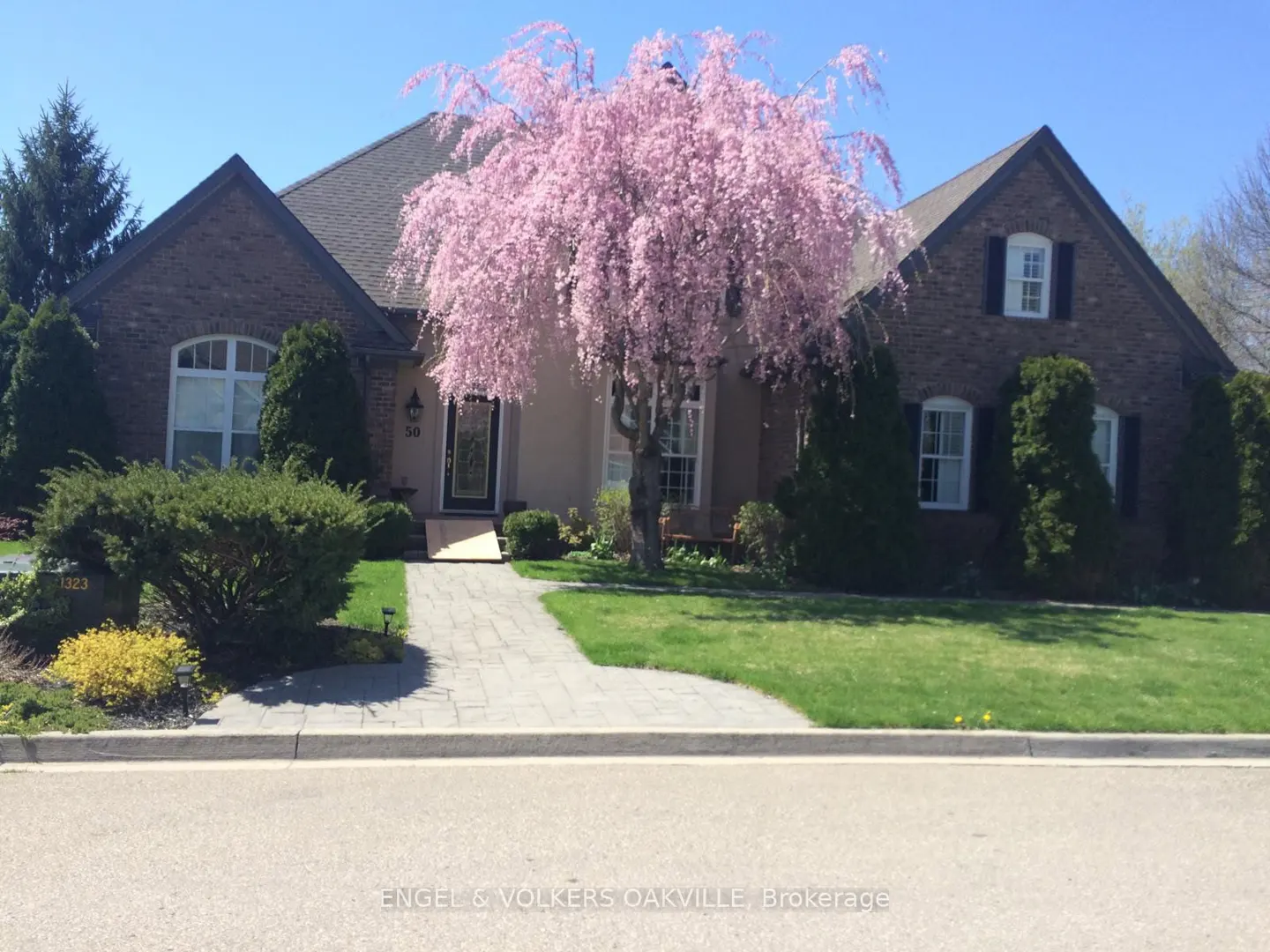 Brick house with a large pink weeping cherry tree in the front yard on a sunny day.