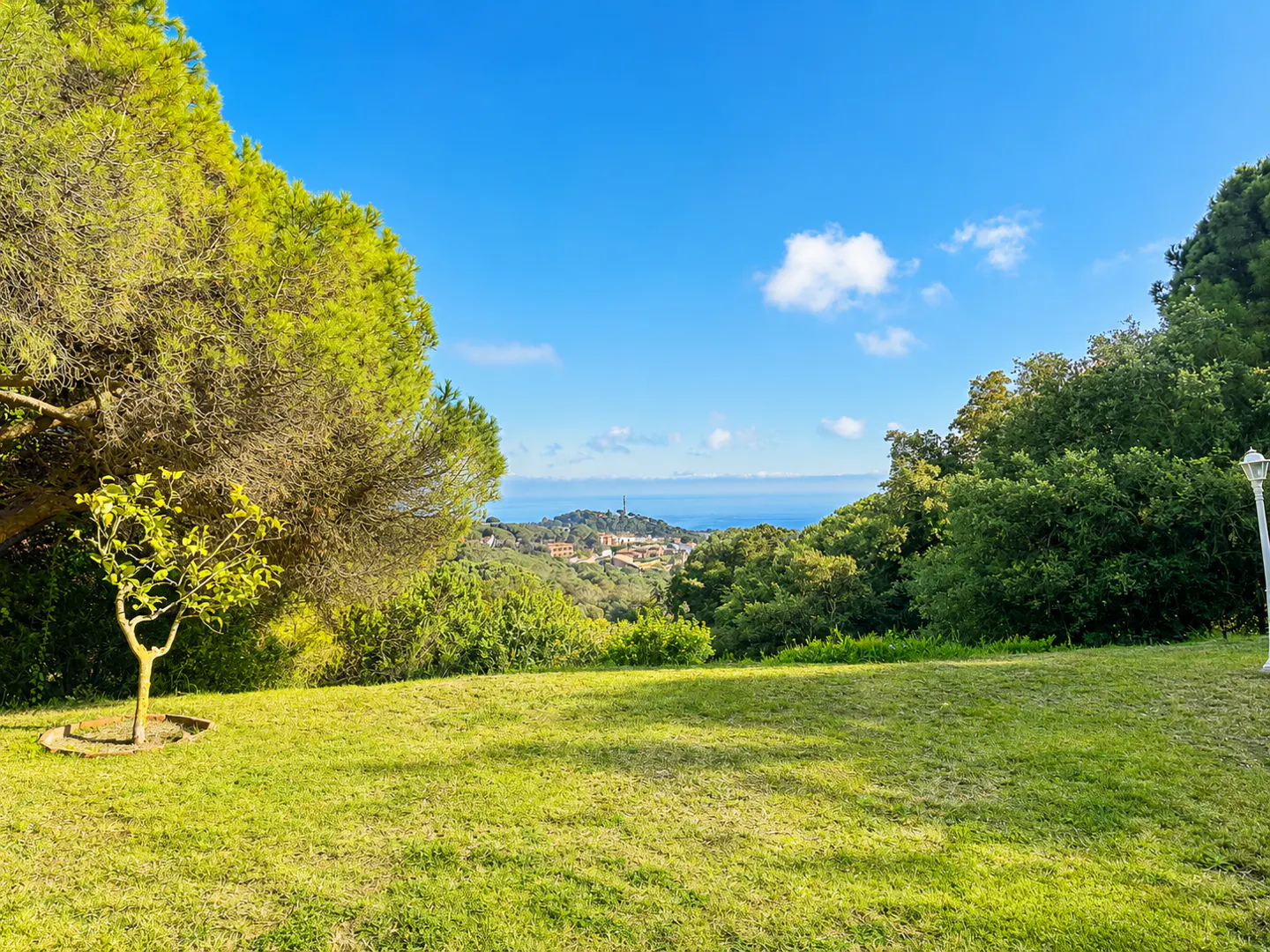 Lush green lawn with trees, a small tree in a ring, and a distant view of a town and the sea under a blue sky.