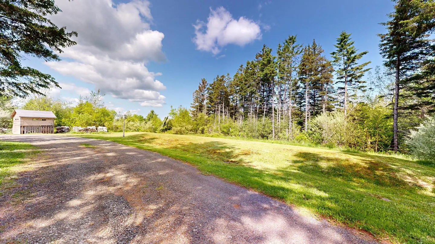 Gravel driveway leading to a wooded lot with a small shed under a blue sky with white clouds.