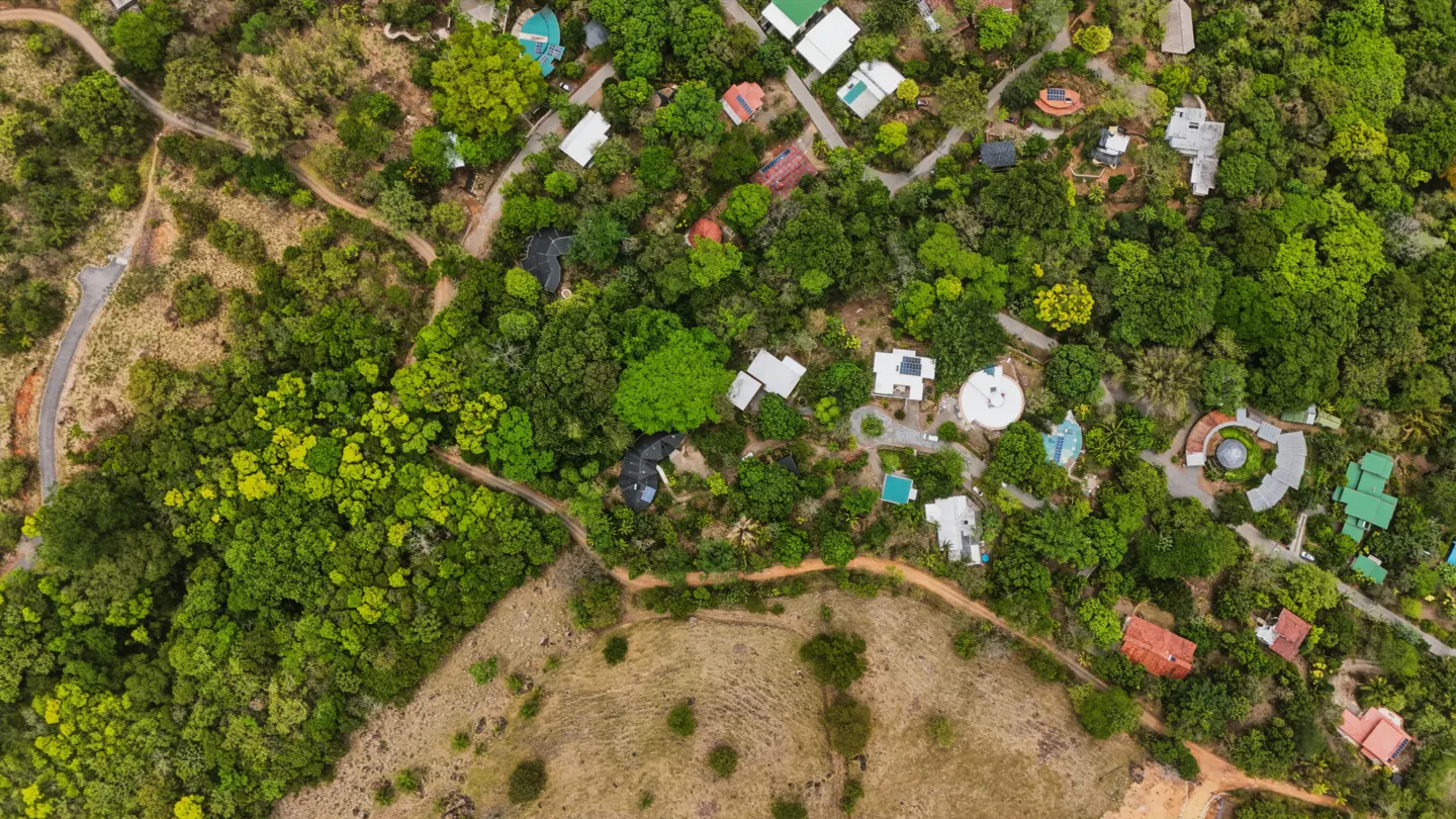Aerial view of homes nestled in lush green trees, with dirt roads winding through the landscape.