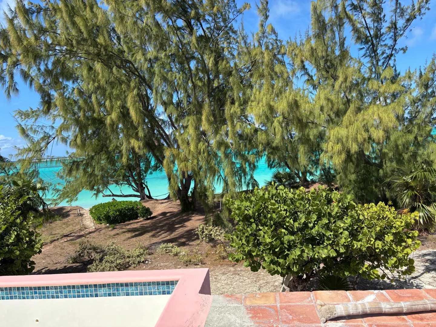 Turquoise ocean view framed by green trees and bushes, with a pink-trimmed pool edge and brick patio in the foreground.