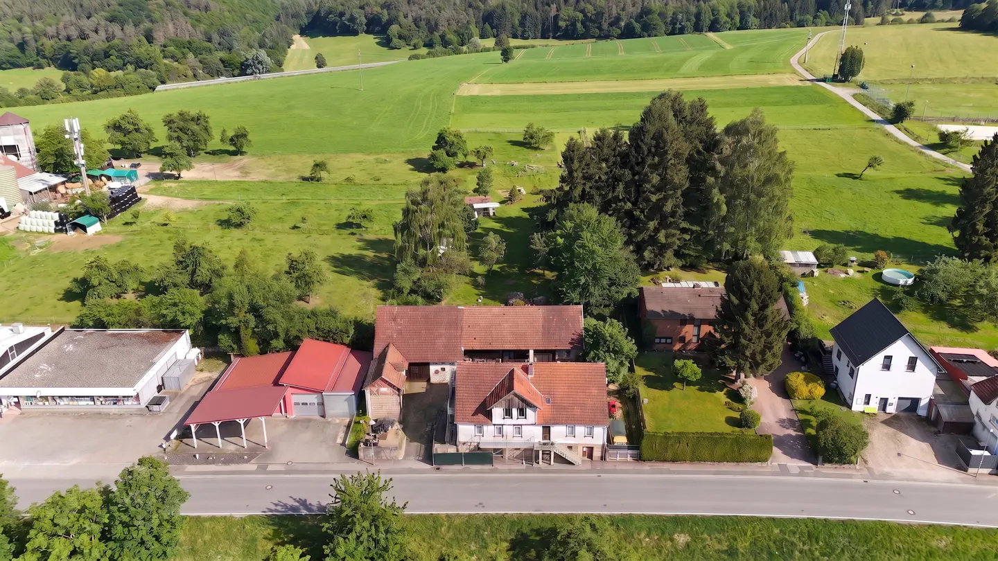 Aerial view of houses with red and gray roofs, surrounded by green trees and fields, next to a road.