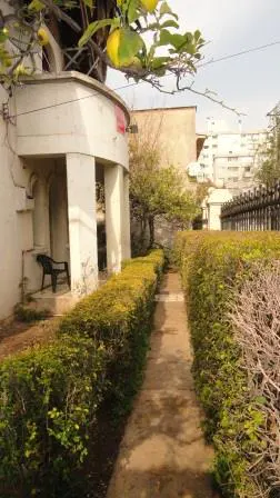 A garden path lined with green hedges leads to a white building with a black chair on the porch.