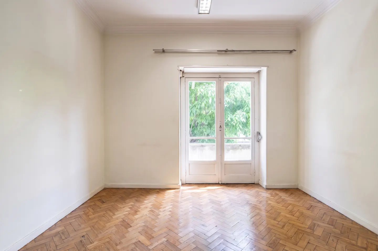 [AI-generated photo]