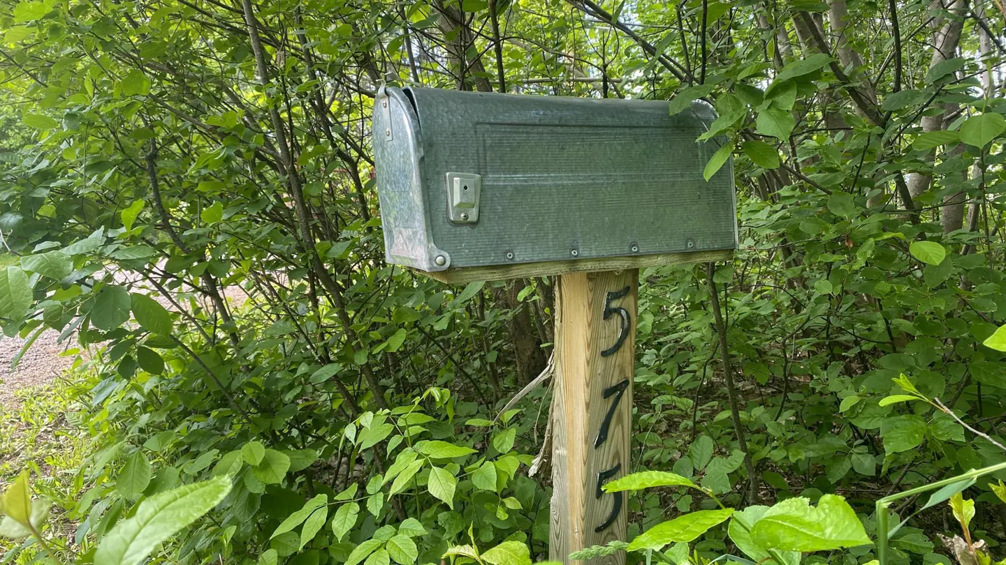 A green mailbox with the numbers 575 on a wooden post, surrounded by lush green foliage.