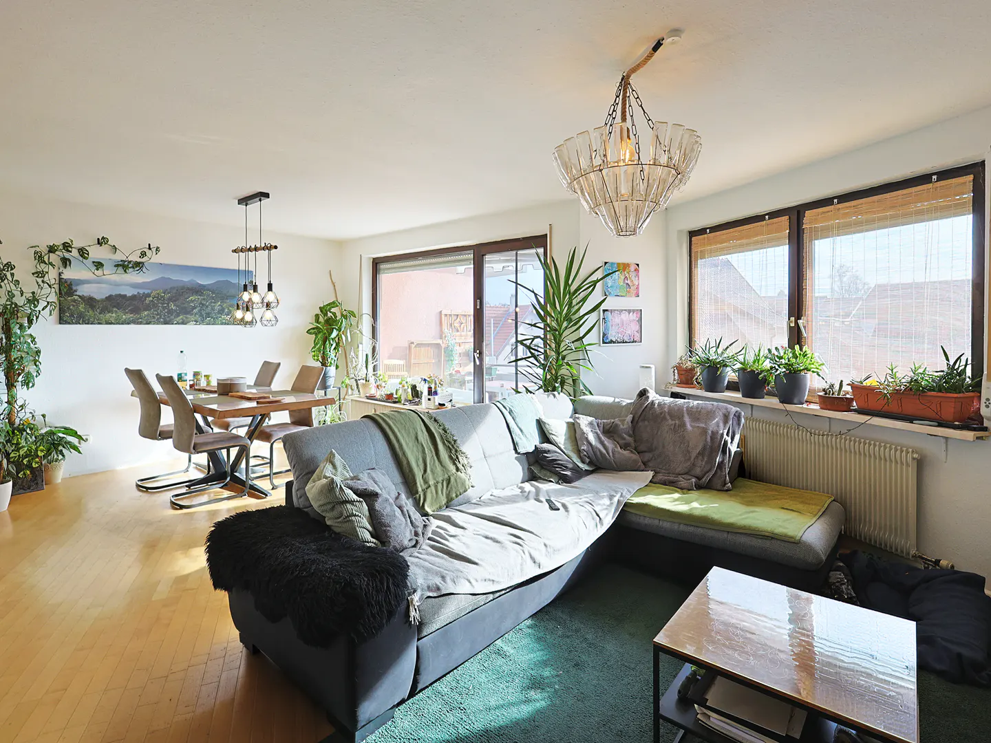 Bright living room with a gray sectional sofa, green rug, and wooden dining table. Plants adorn the windowsills and walls, with a chandelier hanging from the ceiling.
