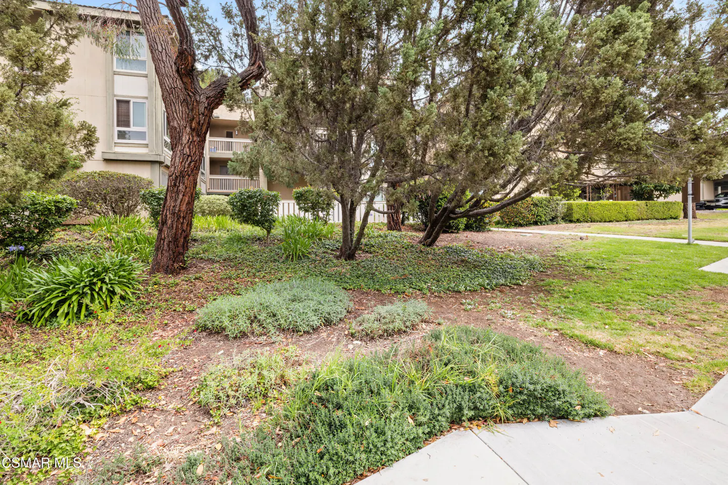A garden with trees and green plants in front of a beige apartment building.