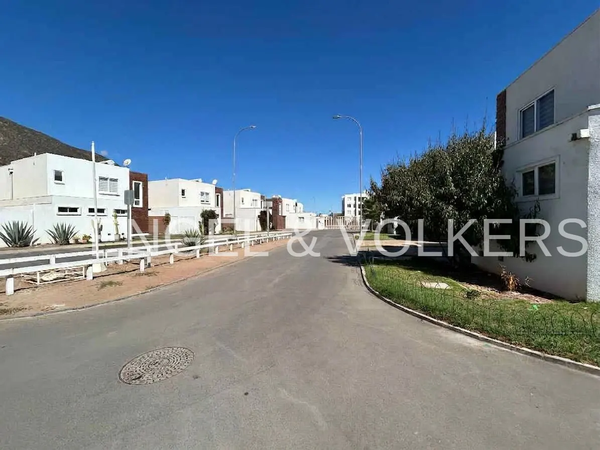 Street view of modern white houses under a clear blue sky. Streetlights line the road, with green bushes and trees visible.