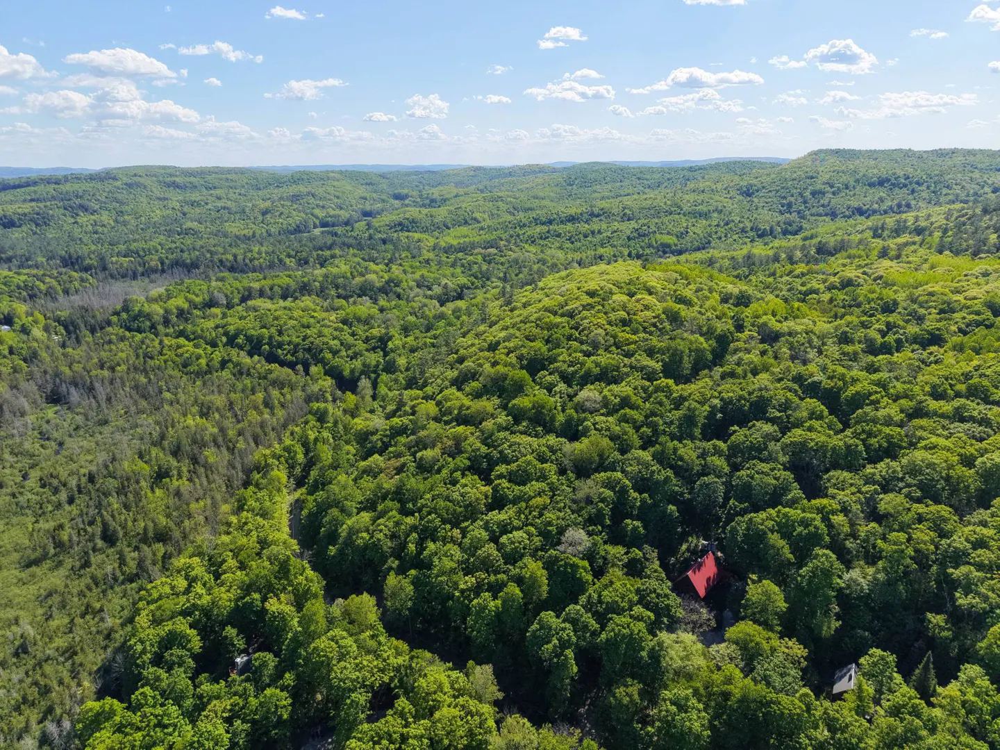 Aerial view of a house with a red roof nestled in a vast, lush green forest under a bright blue sky with scattered clouds.