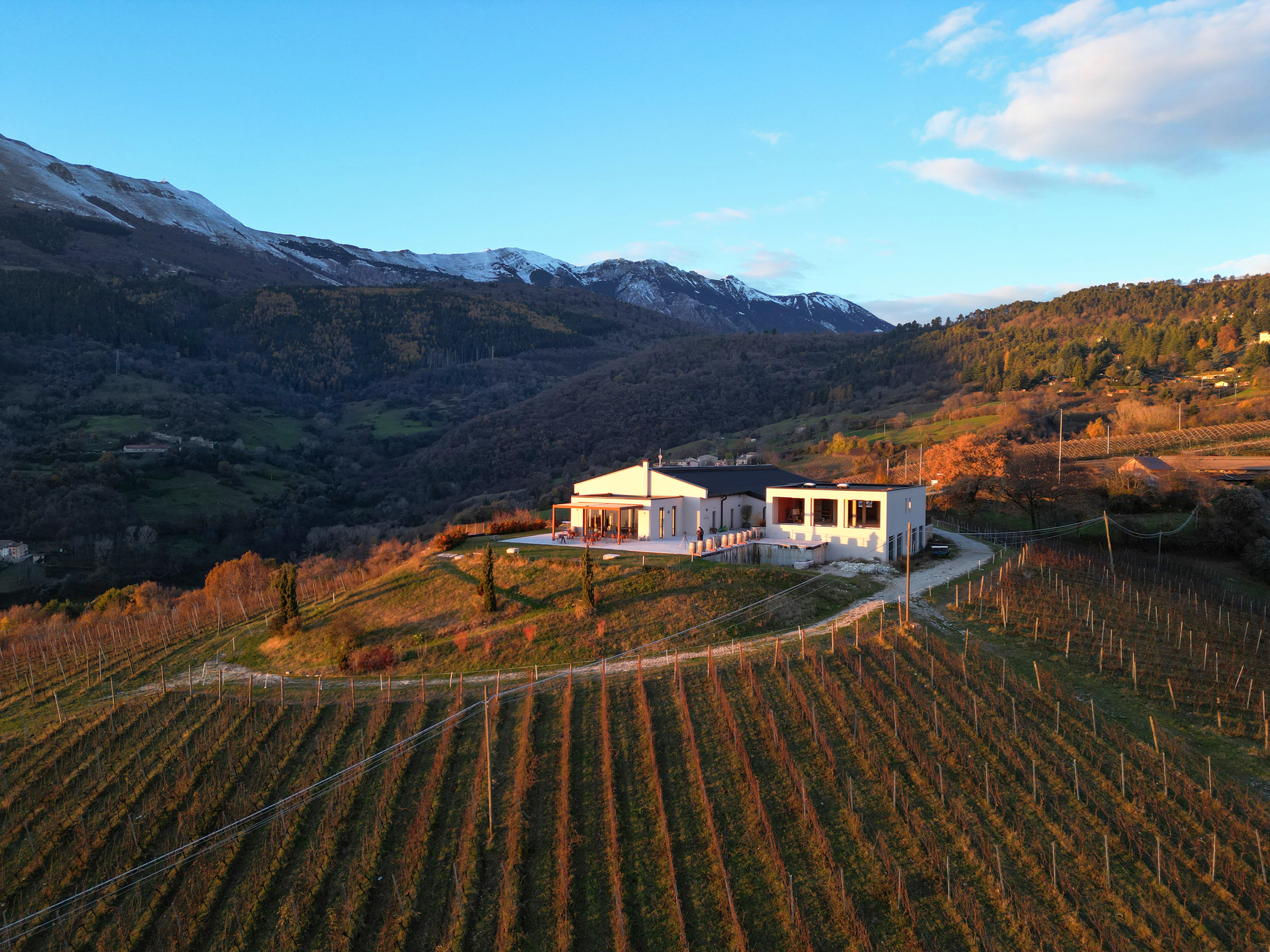 Weinkeller am Fuße des Monte Baldo mit Rebbergen, 8 Suiten und Blick auf den Gardasee