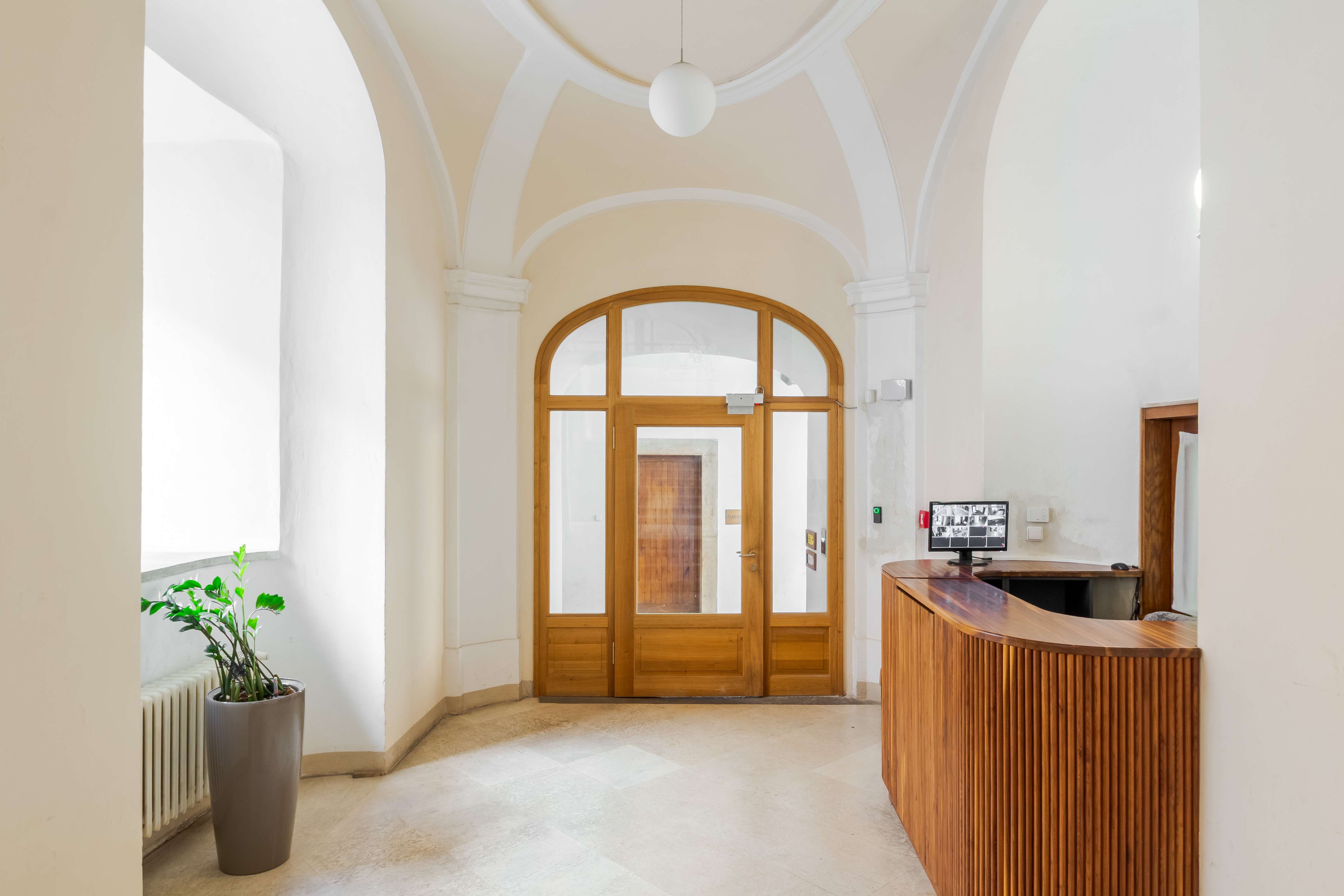Bright lobby with arched ceiling, wooden reception desk, glass-paneled door, and a potted plant in a grey planter. [AI-generated text]