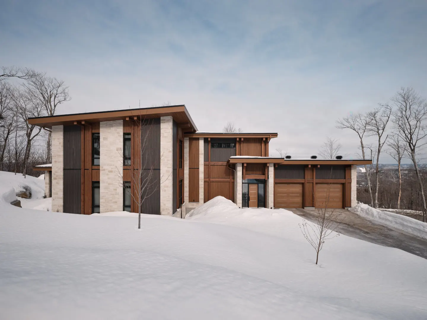 Modern two-story home with wood and stone accents, surrounded by snow-covered landscape and bare trees.