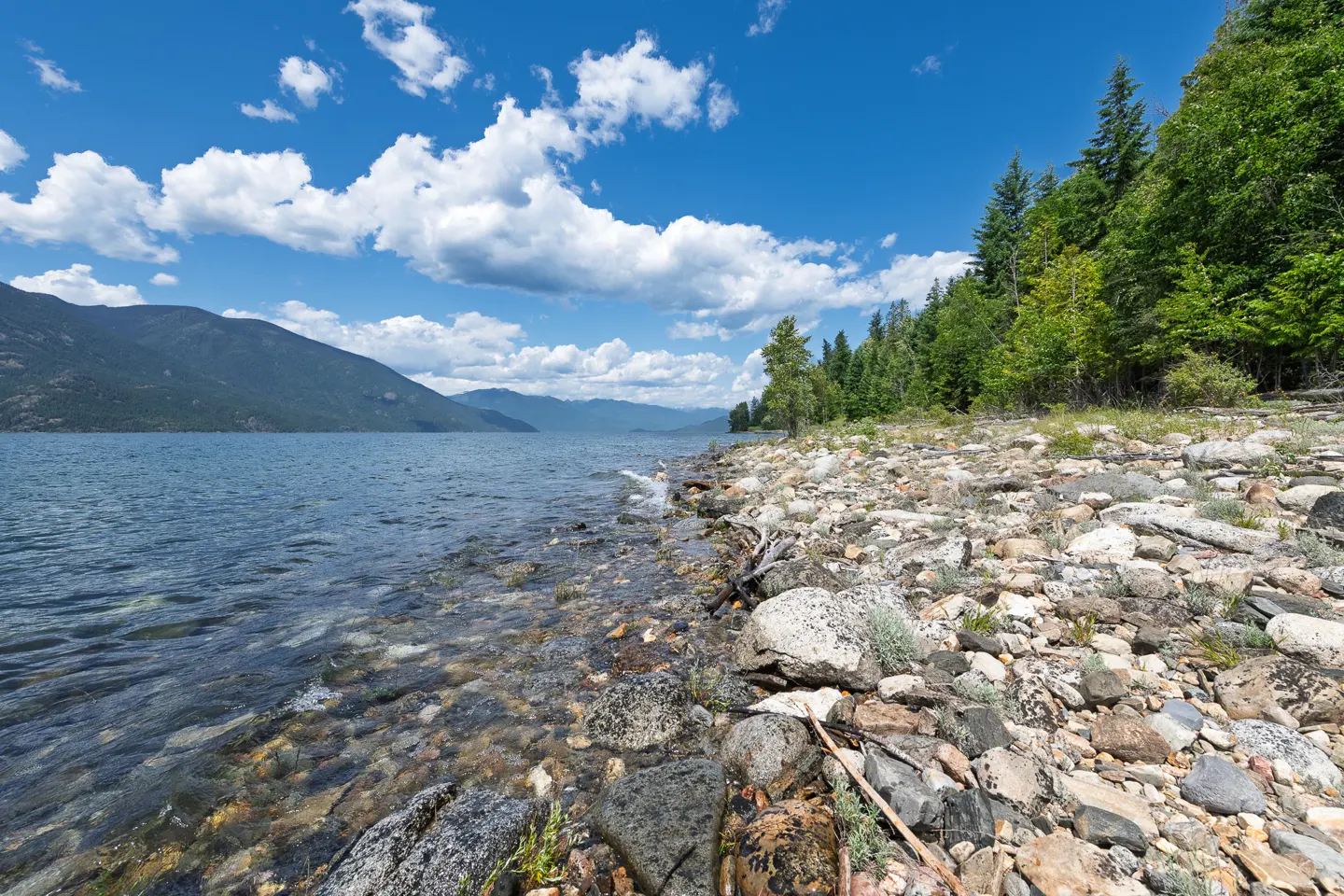 Rocky shoreline with clear water, green trees, and mountains under a blue sky with white clouds.