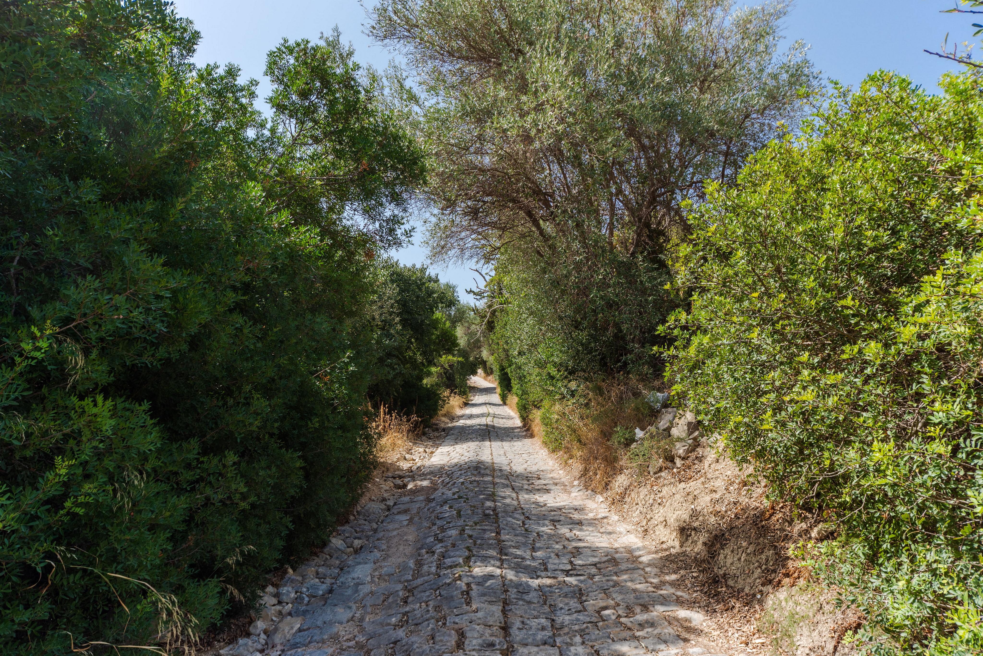 Between Noto and the sea, along the ancient Royal Path.