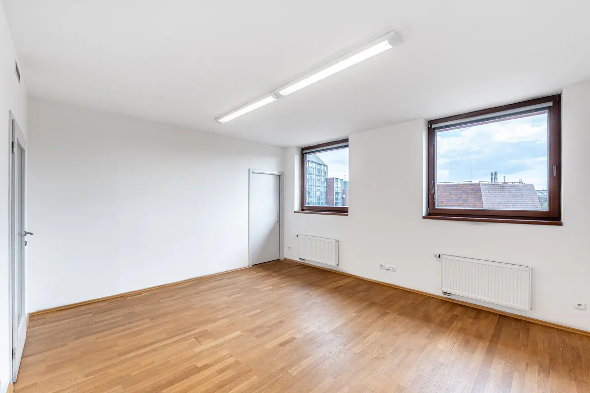 Bright, empty room with wood floors, white walls, and two windows showing city views. A long fluorescent light is on the ceiling.