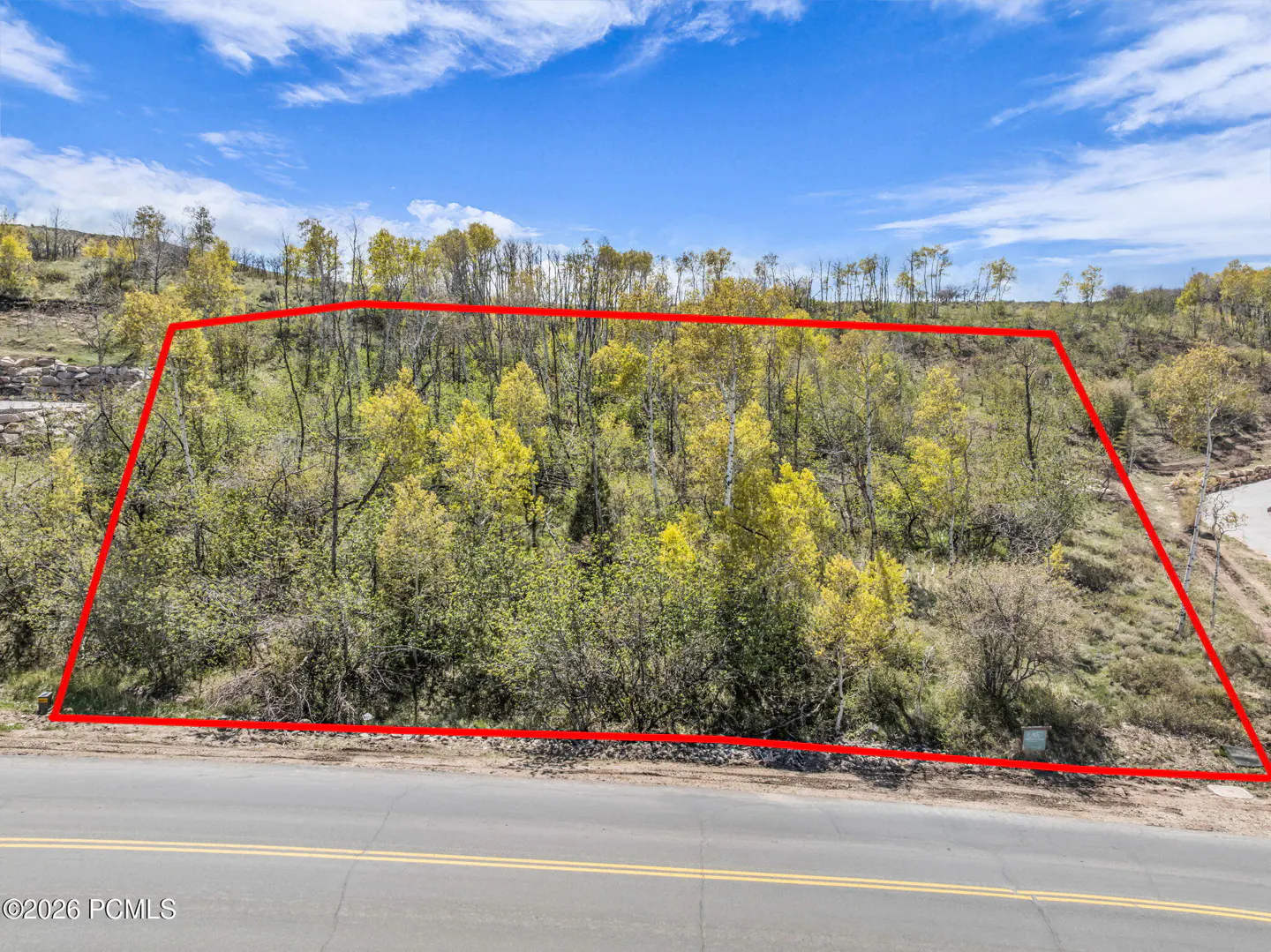 A vacant lot with trees is outlined in red, next to a road under a blue sky.