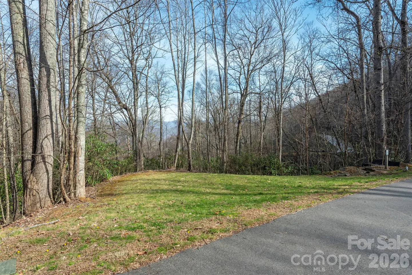 A vacant lot with green grass is surrounded by bare trees under a blue sky. A paved road runs along the edge of the lot.