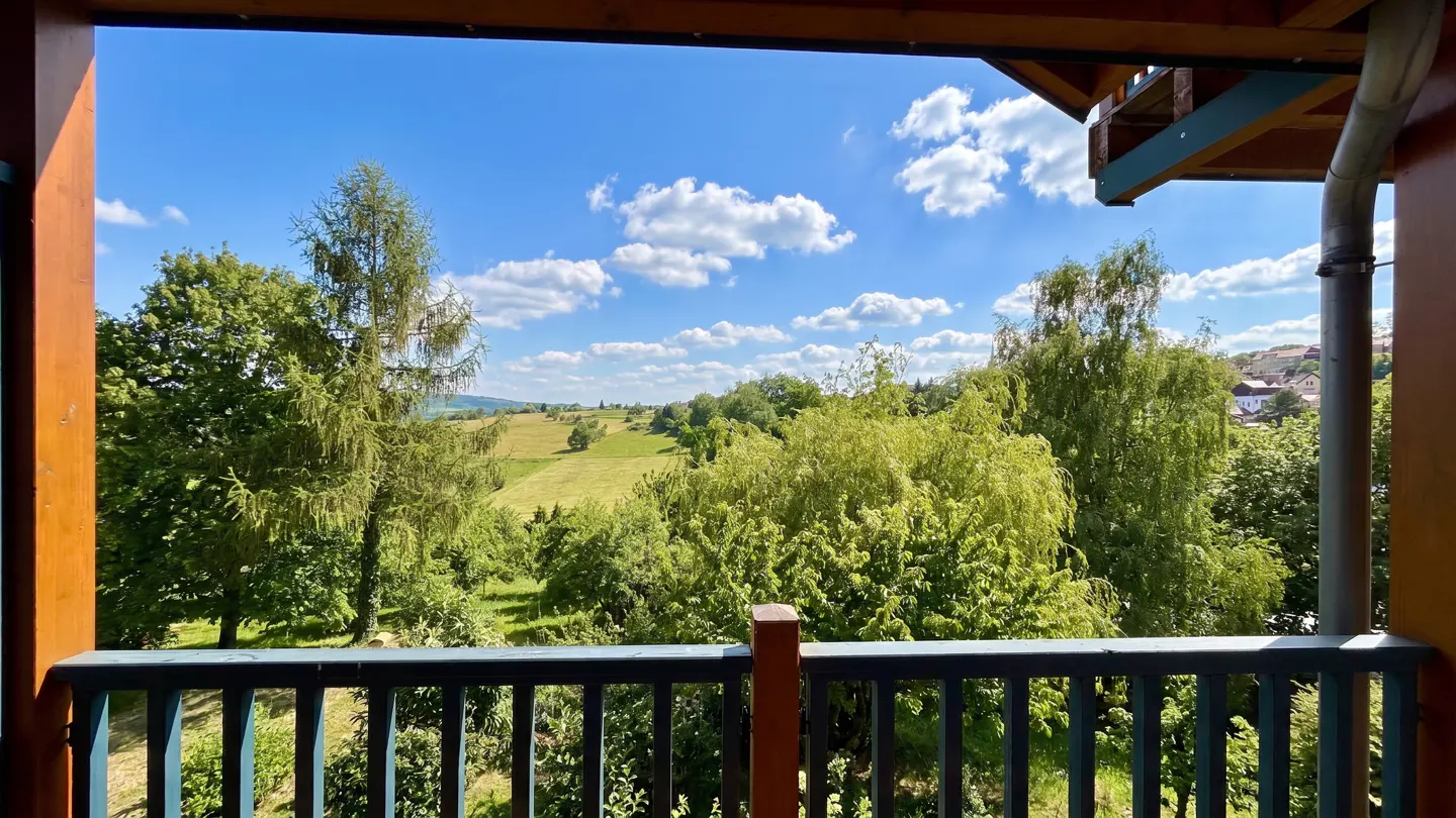 View from a blue-railed balcony overlooking green trees, fields, and a blue sky with white clouds.