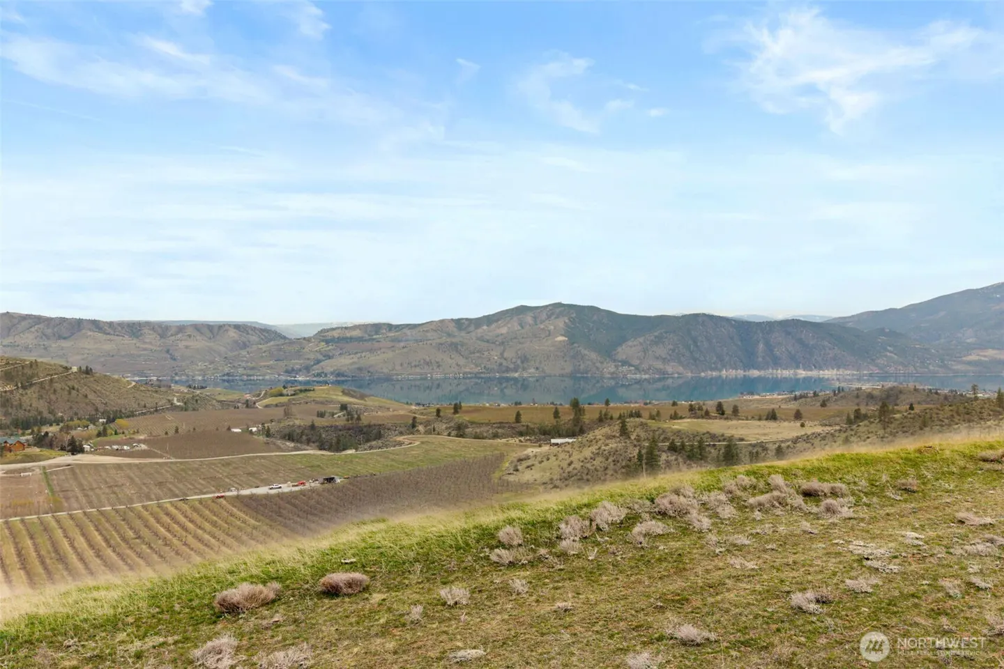 Scenic view of a vineyard on a hillside overlooking a lake and mountains under a blue sky with scattered clouds.