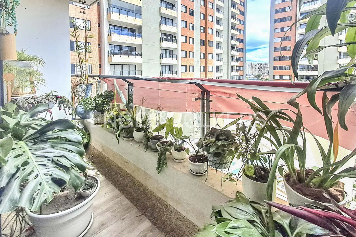Balcony view with potted plants lining the ledge, a pink awning, and tall buildings in the background.