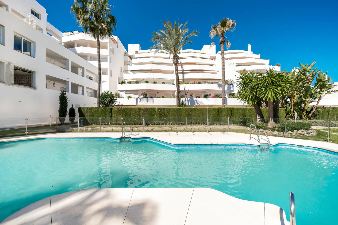 A turquoise pool sits before a white apartment building under a blue sky, framed by palm trees and green hedges.