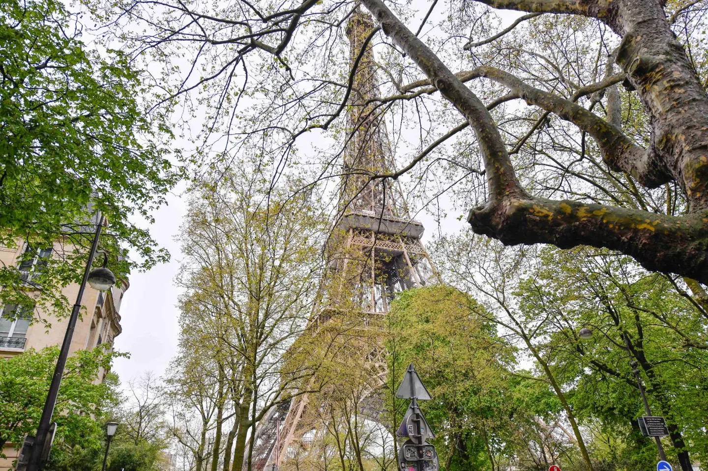 Eiffel Tower view from below, framed by trees with green leaves and bare branches against a cloudy sky.
