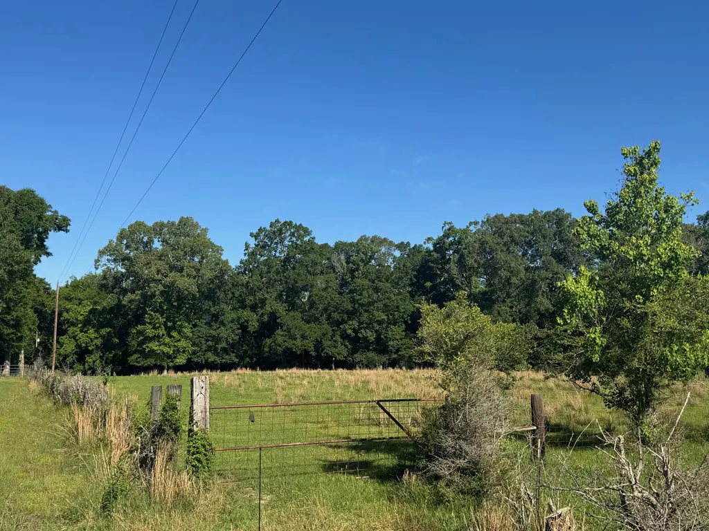 A metal gate stands in a grassy field, leading to a tree-lined horizon under a clear blue sky.