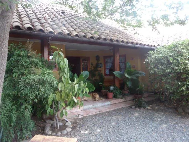 A yellow house with a brown tile roof and a porch with plants and a dog lying on the porch.