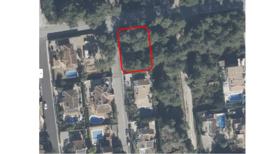 Aerial view of a wooded lot outlined in red, surrounded by houses with pools and a road.