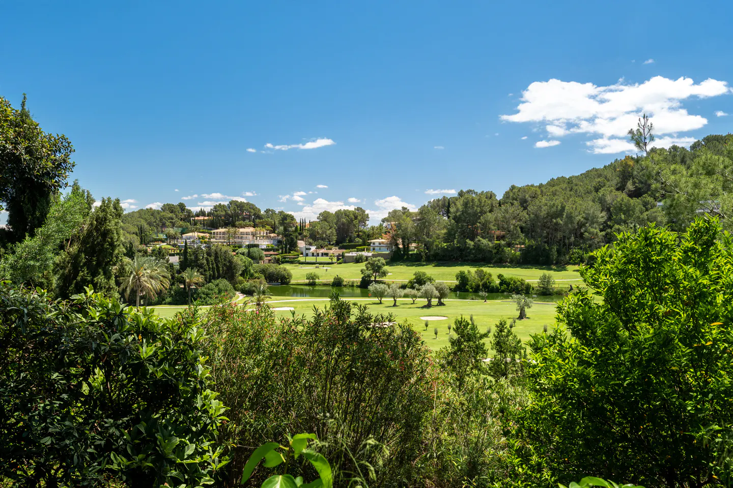 Scenic view of a lush green golf course with a pond, surrounded by trees and houses under a blue sky.